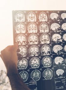 SCP adhiere a carta de sociedades científicas sobre la necesidad de considerar el conocimiento científico en la toma de decisiones